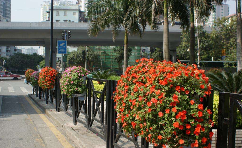 花箱护栏 花箱护栏